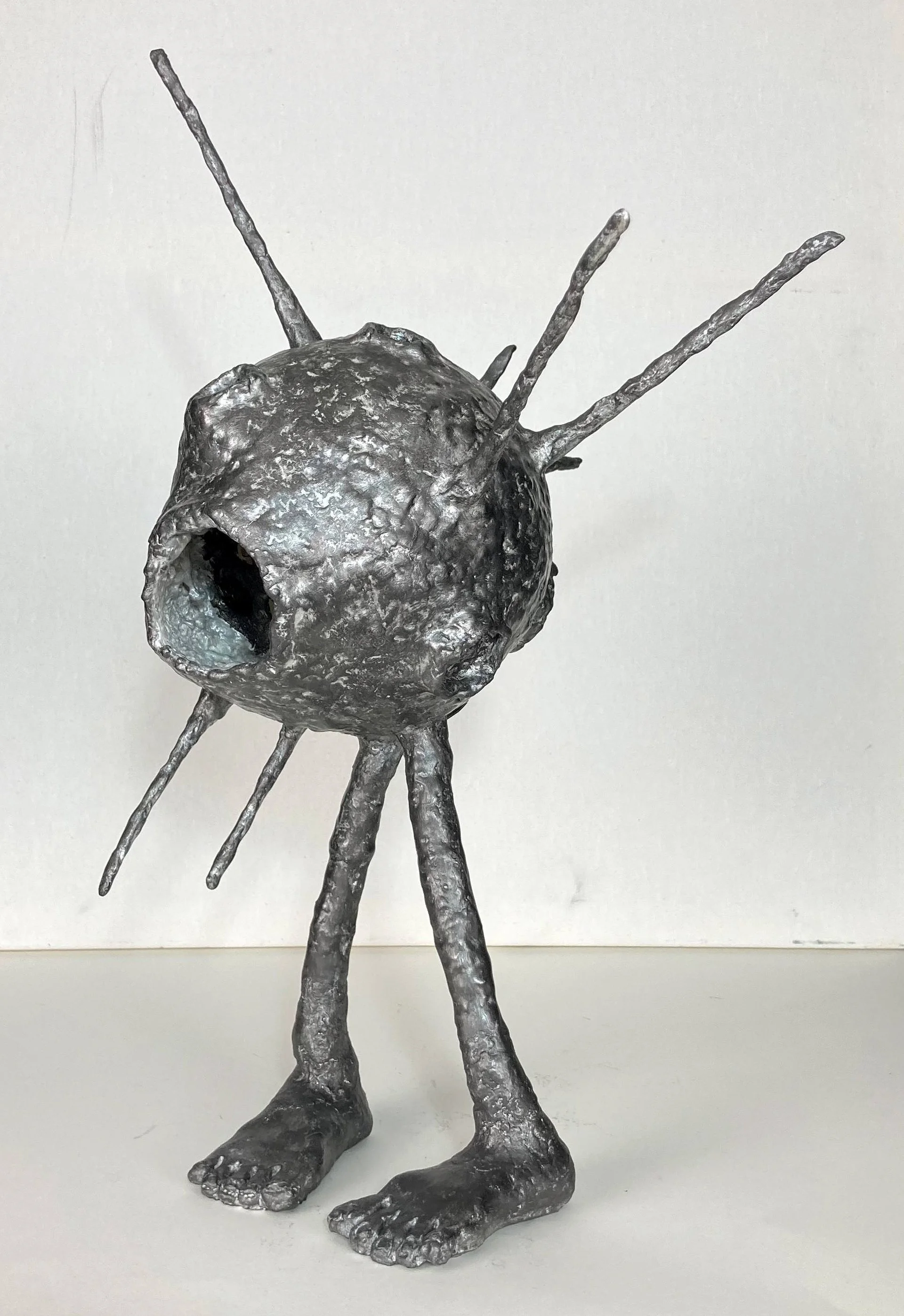 Le Timide de l'Espace