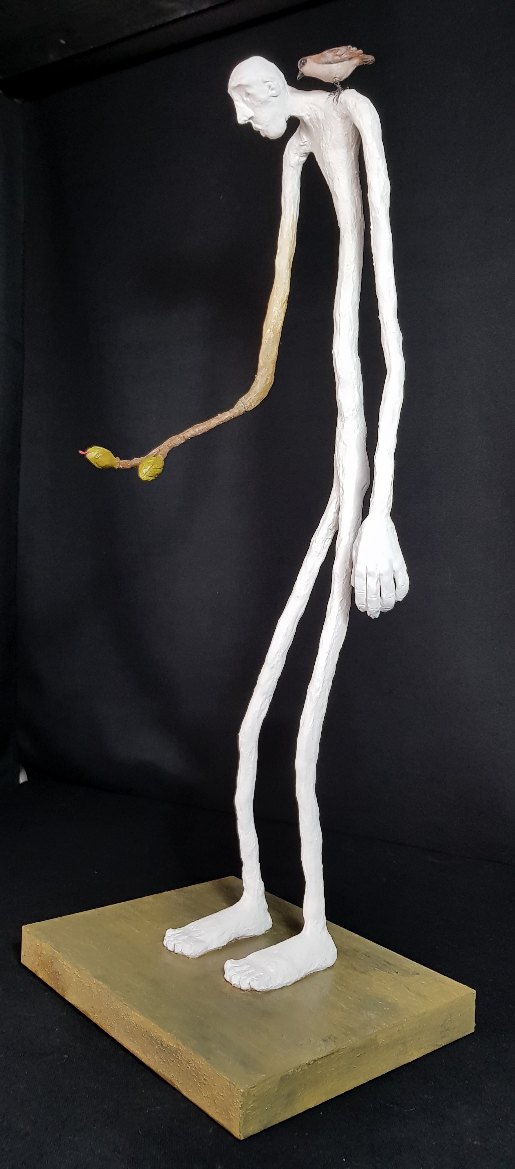 Métamorphose - Vue 1