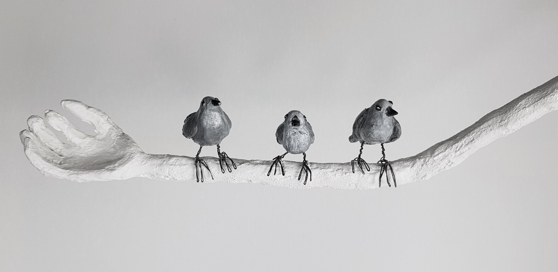 Oh Les Oiseaux - Vue 1