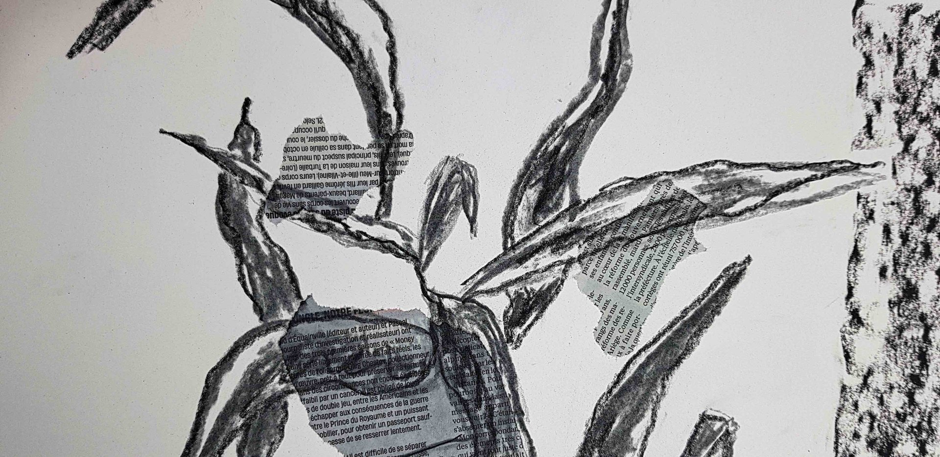 Impression végétale N°3 - Vue 1