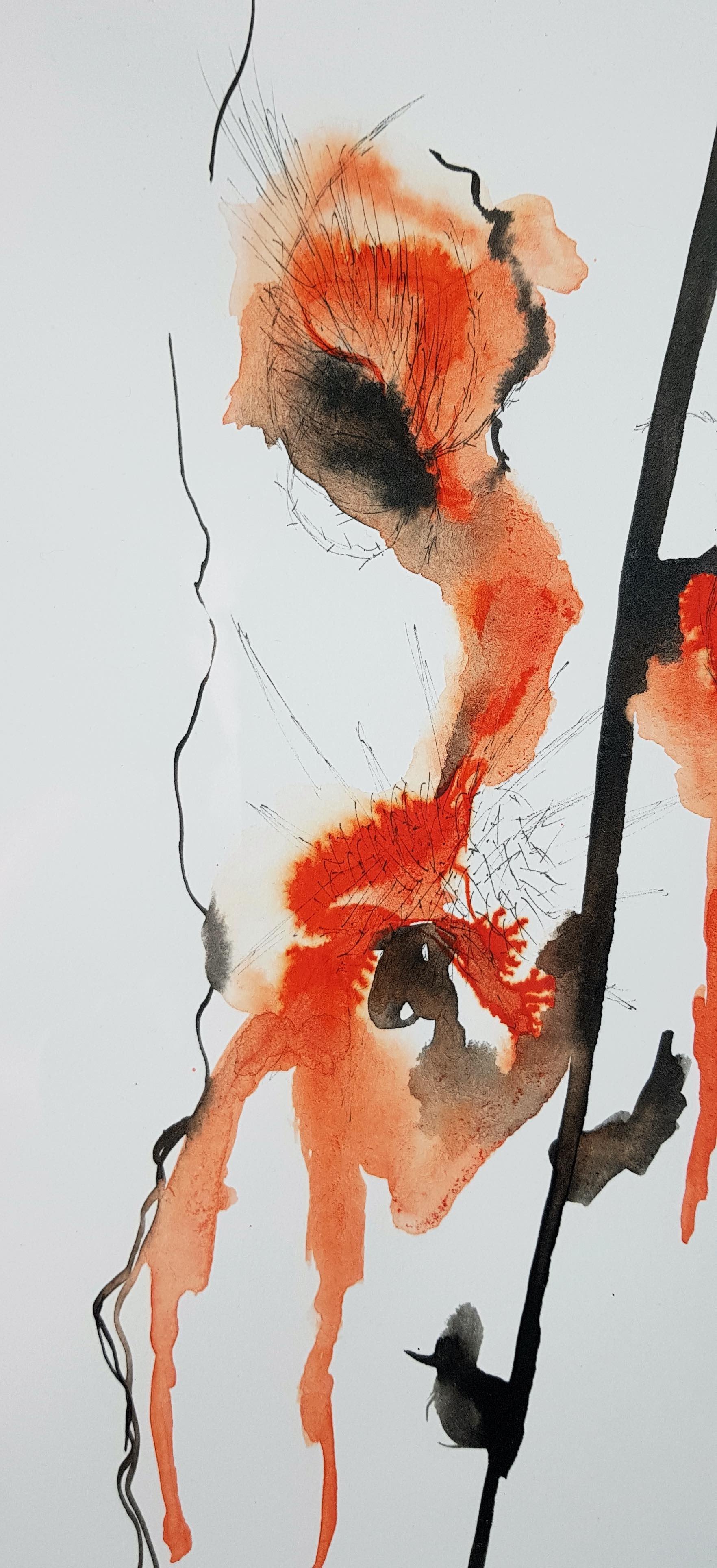 Rêve Orange - Vue 1