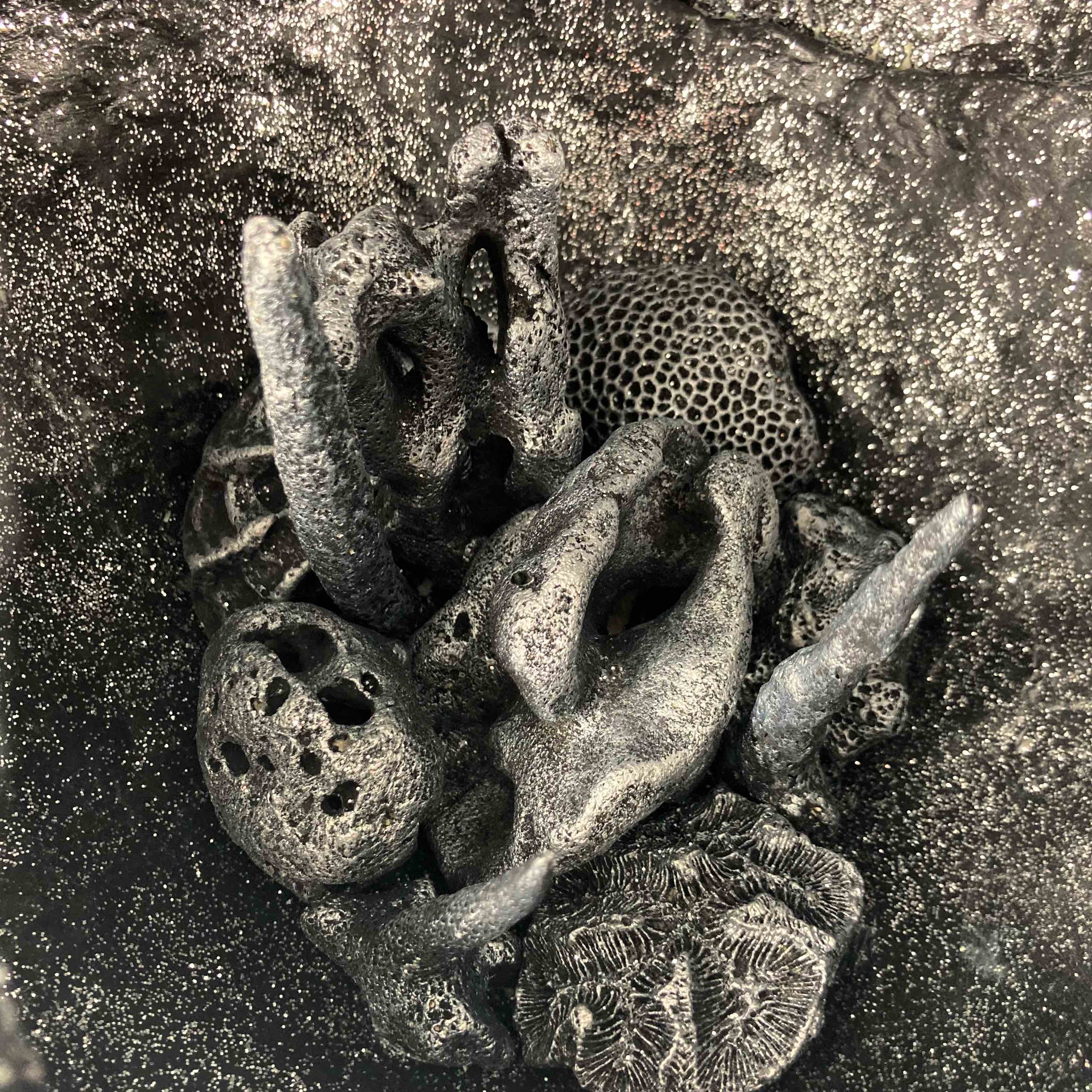 Constellation - vue 2