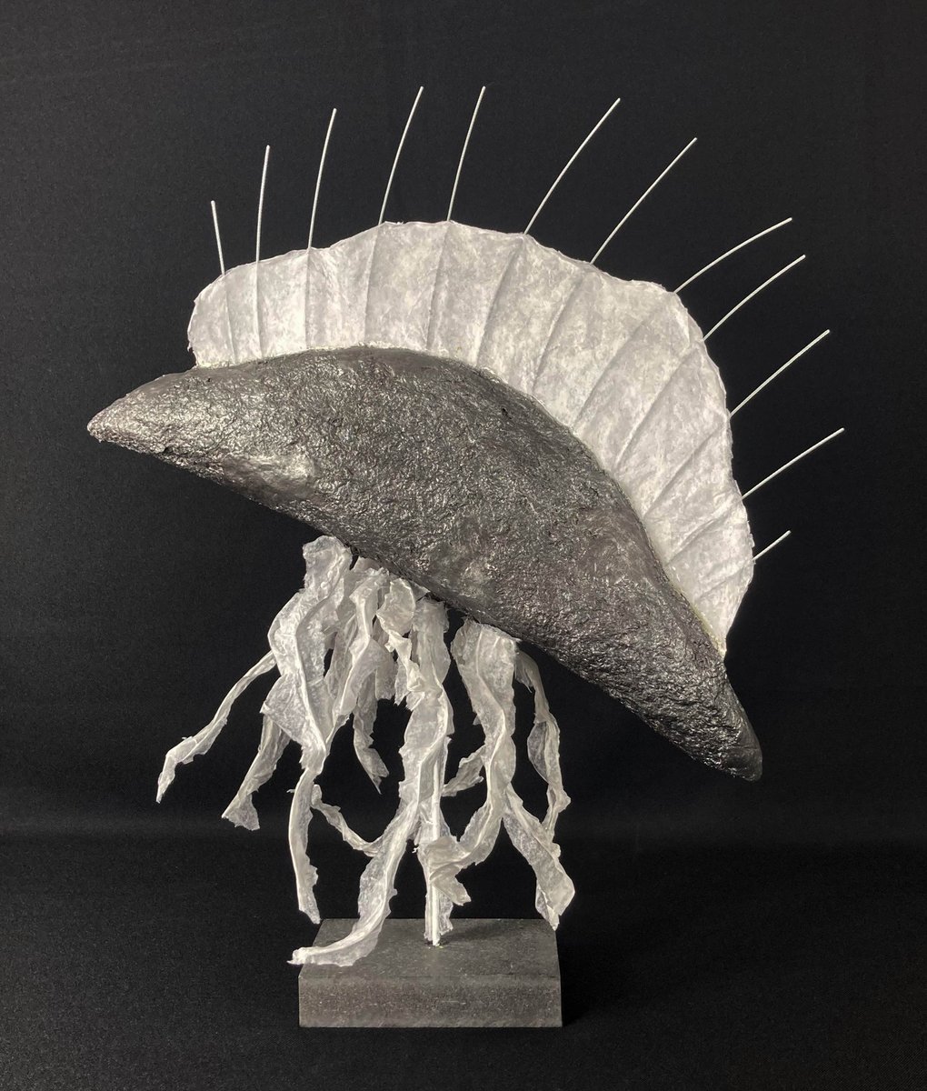 Physalies - vue 3