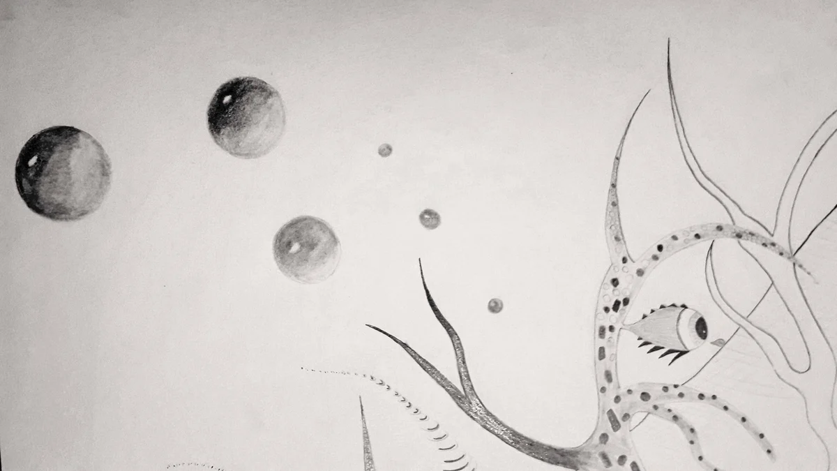 Univers - vue 2